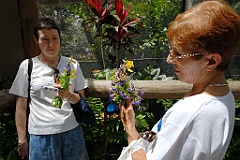 0677 Butterfly Sanctuary Kuranda